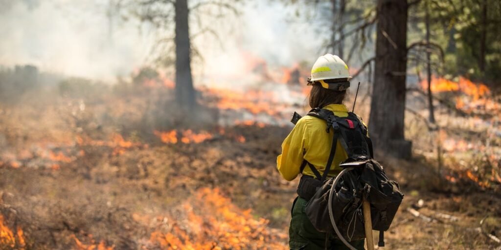 first-street-foundation-wildfire-risk-aws-open-data-1200x600-1-1024x512 AI Wildfire Detection: How Algorithms Stop Fires and Save Lives